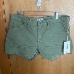 Carve Designs Womens Shorts Size 14